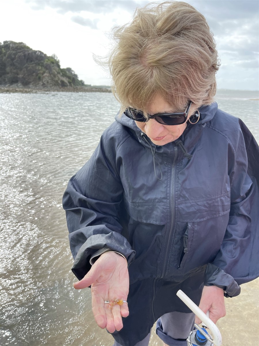 Pumping For Yabbies 4 - Is that a yabby.jpg